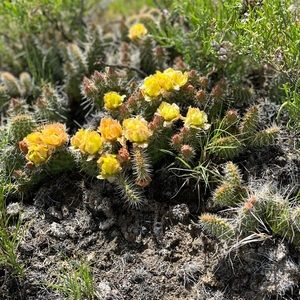 Meet your Posher, Ashlyn